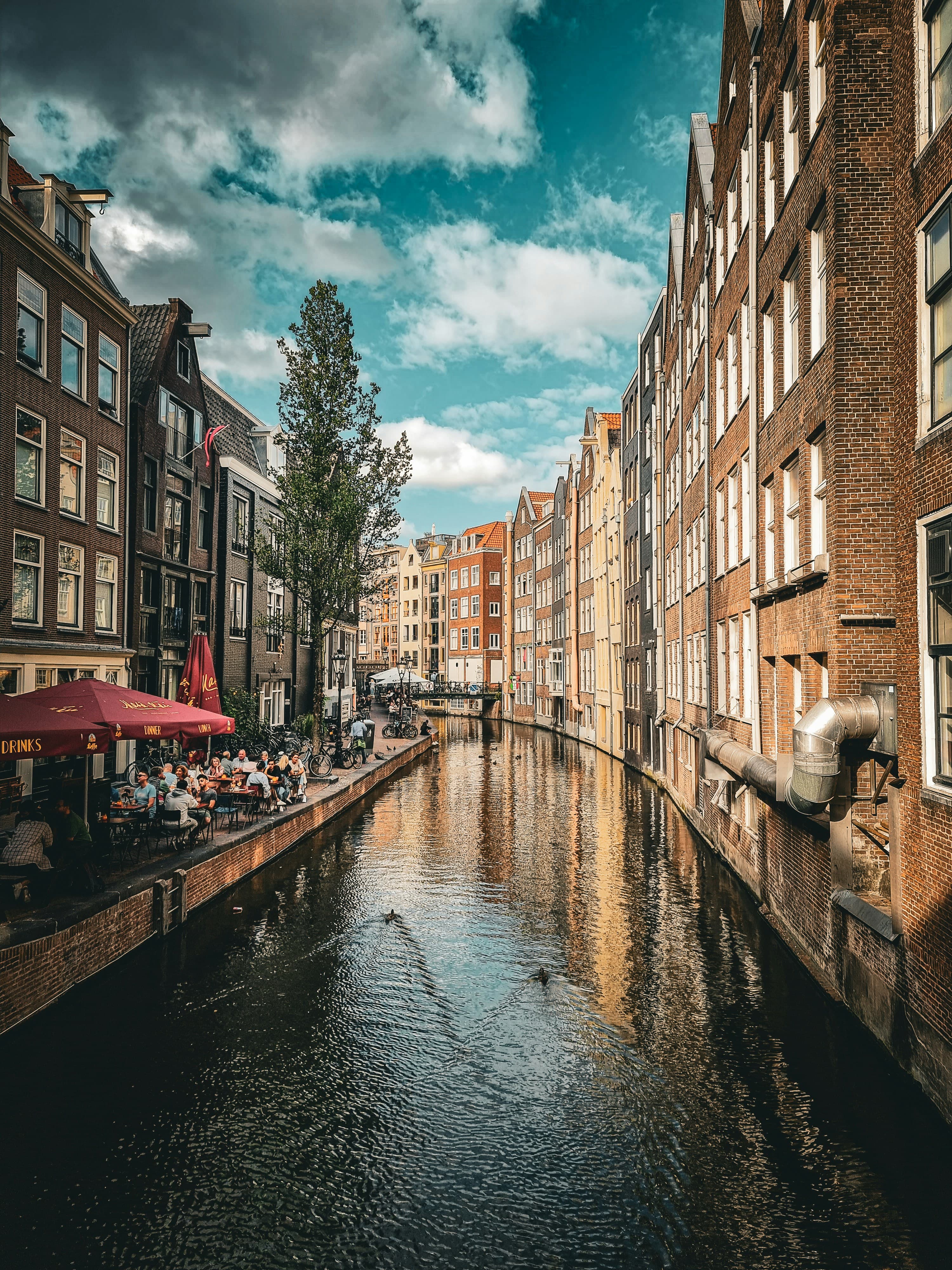 Unforgettable Luxury: Your Ultimate Guide to Amsterdam's Most Opulent Cruise Experiences